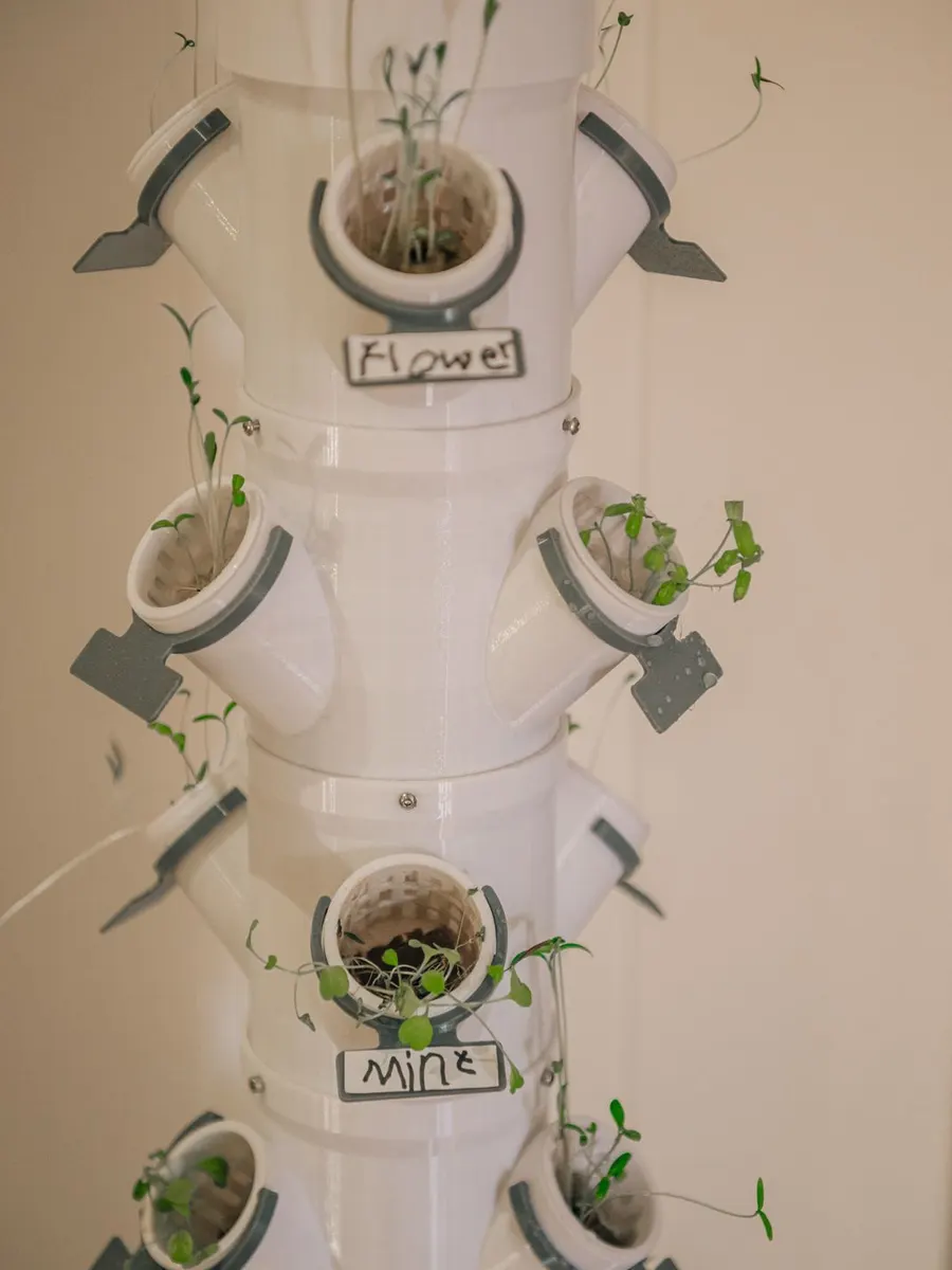 Seedlings growing in a white aquaponics tower, with pots labelled flower and mint