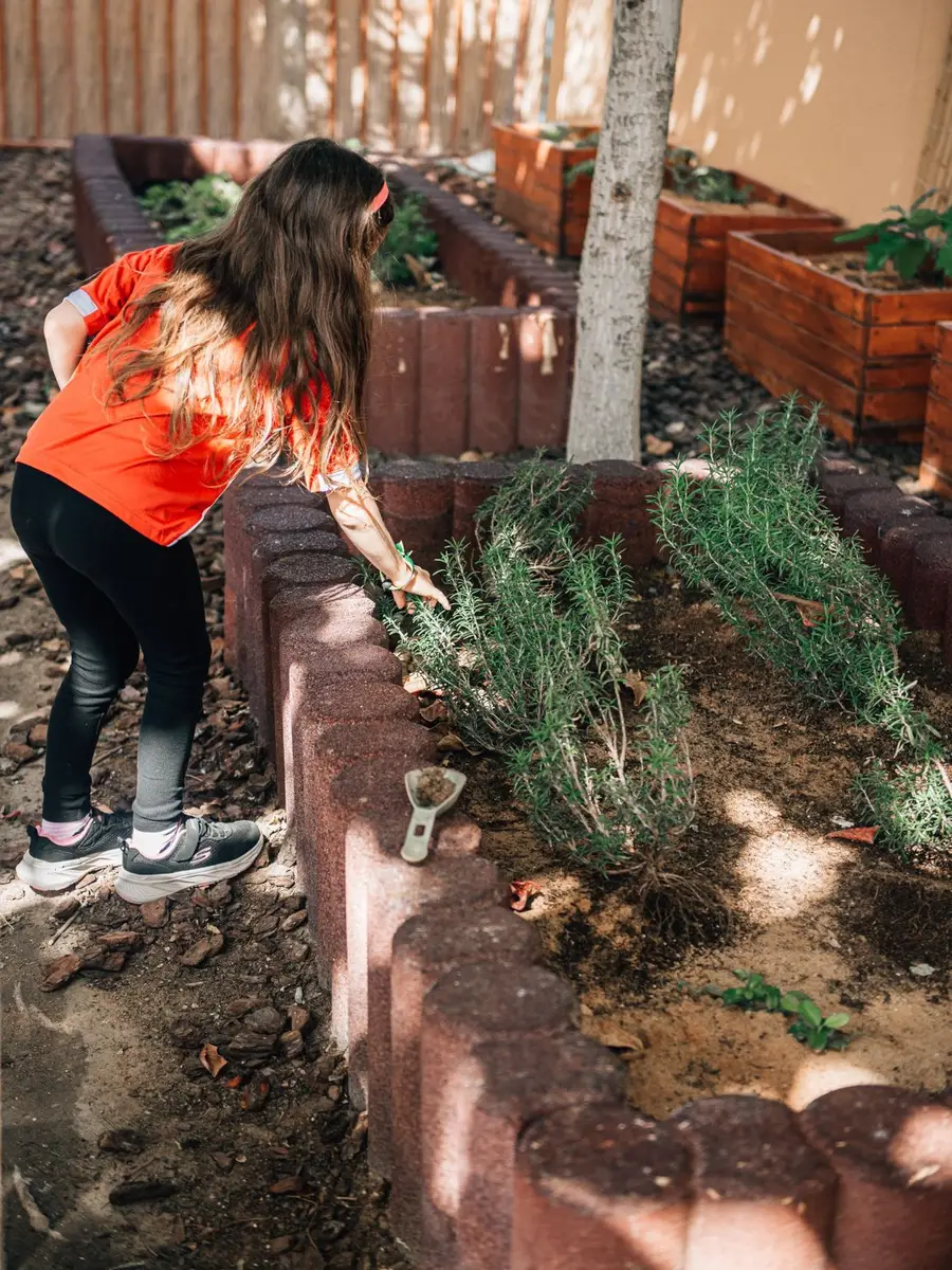 A child tending herbs in a raised bed in the Treehouse Nursery herb garden